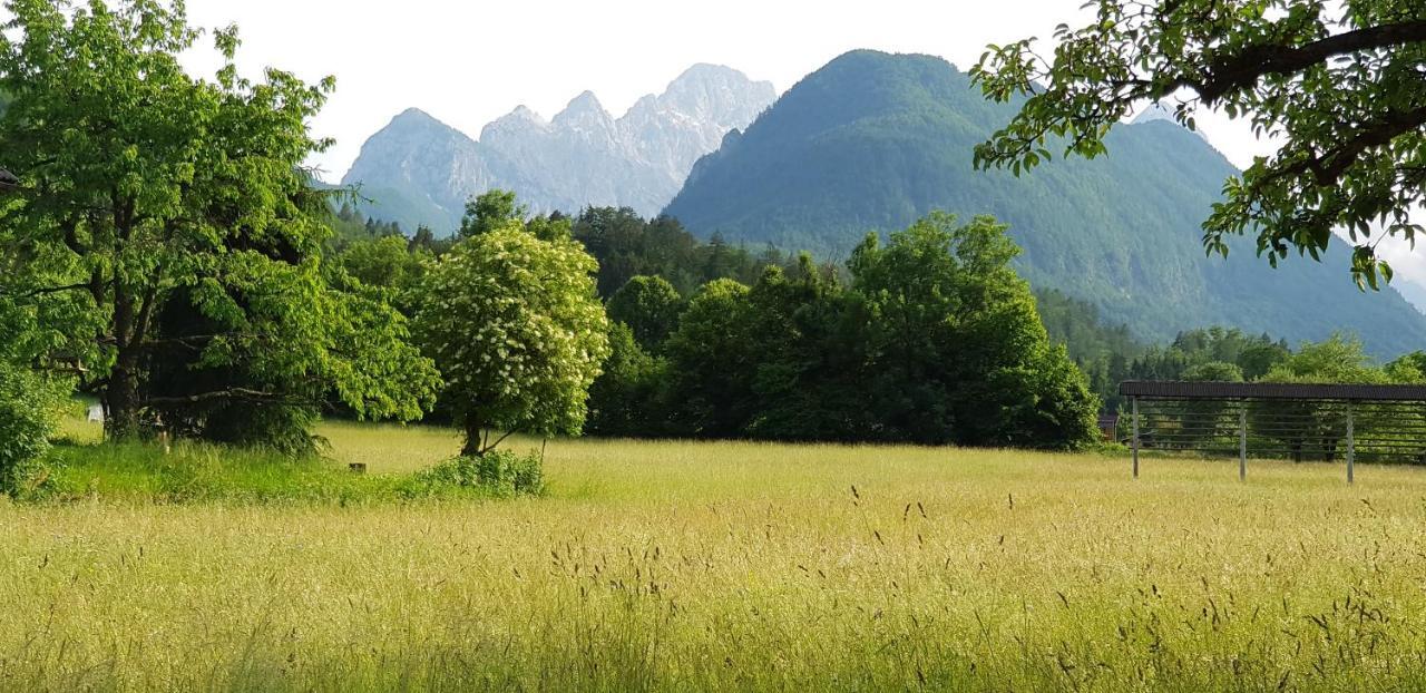 Villa The Oldmillhouse Mojstrana Exterior foto