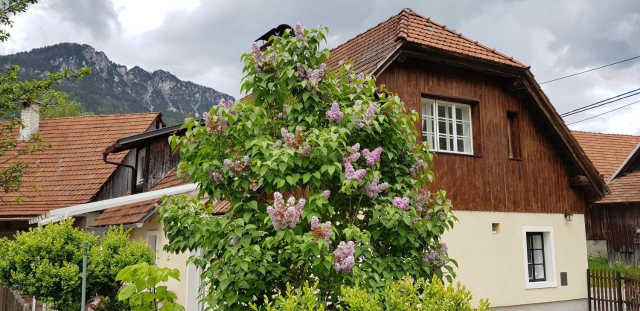 Villa The Oldmillhouse Mojstrana Exterior foto
